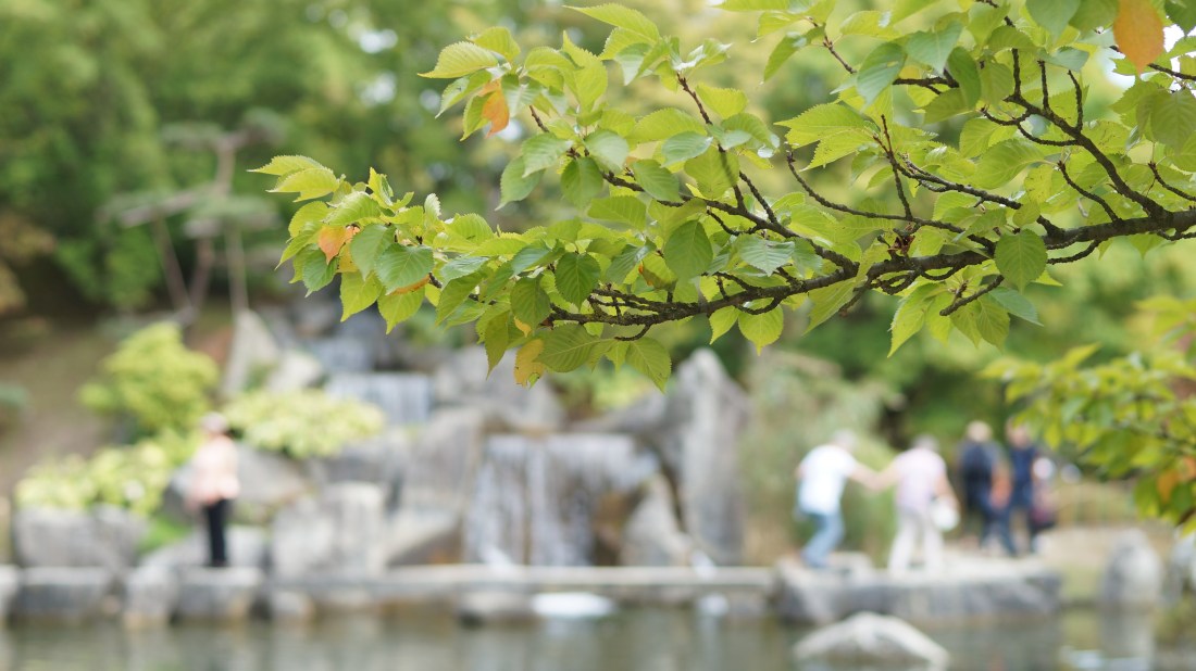 Japanischer Garten in Hasselt